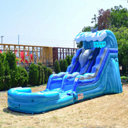 bouncin20baye20dolphin20dive202 1682109838 Dolphin Dive (Wet or Dry) Slide 15ft