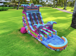 hibiscus204 1769547337 Hibiscus 18' ft Double-Lane Slide